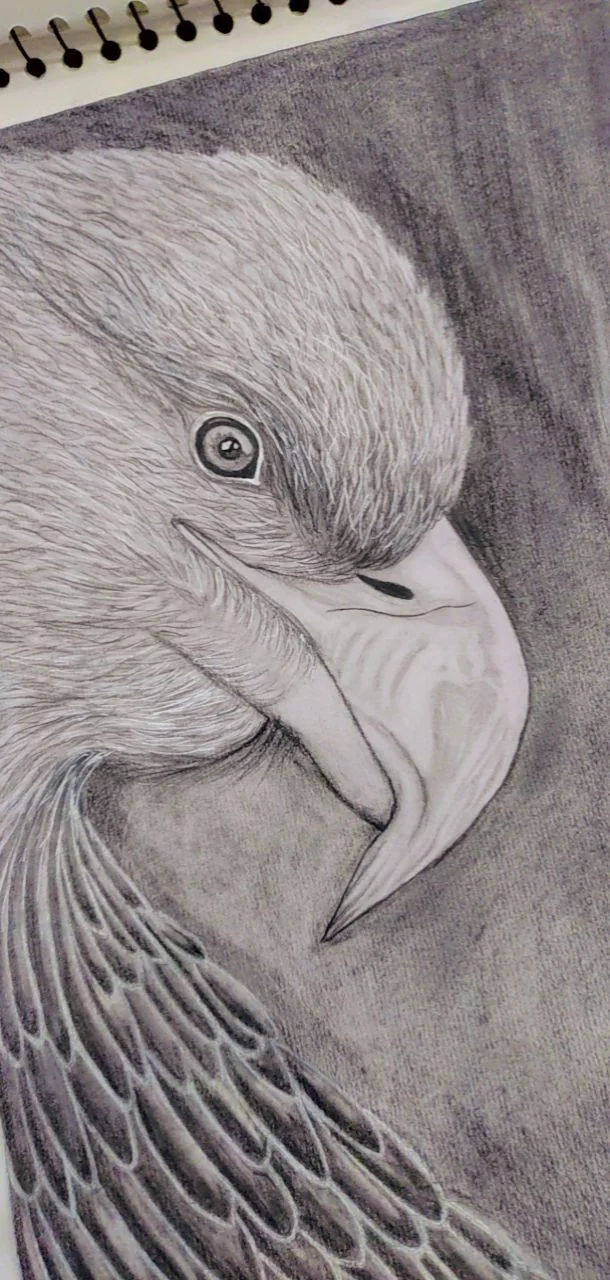 Feather by feather